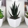 Мини искусственные растения алоэ бонсай бессмертный палец драгоценный камень цветочные горшки растения искусственные цветы офисный стол горшечные украшения декор