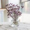 Nordic Creative Transparent Vases Striped Glass Vases Hydroponic Planter for Home Decor Plant Lover Gift Flower Table Vase