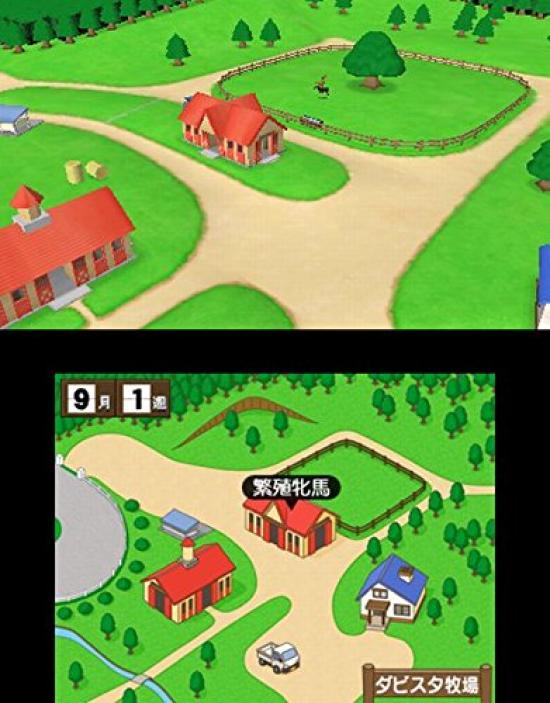 Derby Stallion GOLD для Nintendo 3DS - Импорт из Японии (Японская версия) / Видеоигра-симулятор скачек