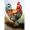 Полный квадратный круглый алмаз картина петух курица курица Алмазная вышивка крестиком мозаика картина горный хрусталь домашний декор подарок