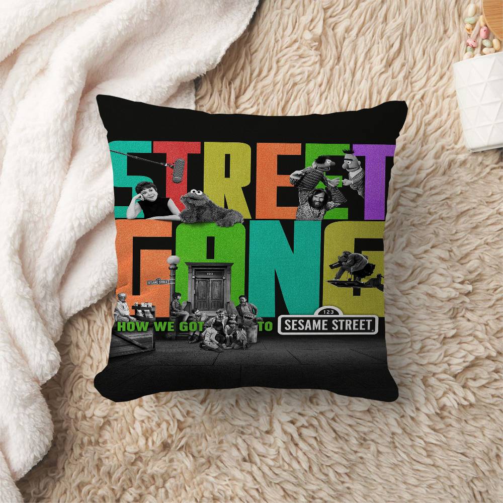 Cartoon SSesame SStreets Pillow Anime Pillow Sofa Bed Head Pillow Cover Cushion Cover x cm Fashion