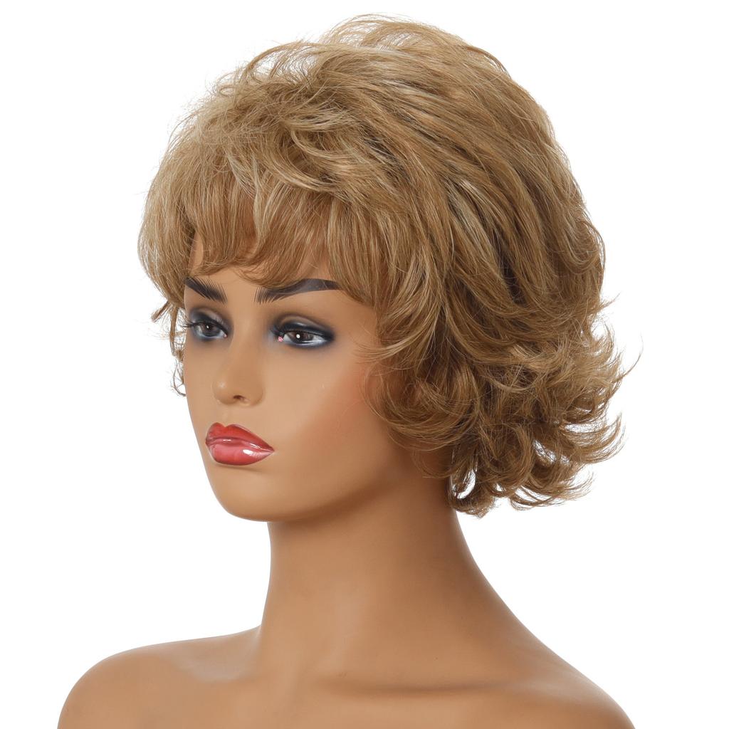 European and American Women Natural Looking Short Wig Front Lace Heat Resistant Synthetic Curly Wavy Wigs for Everyday Life
