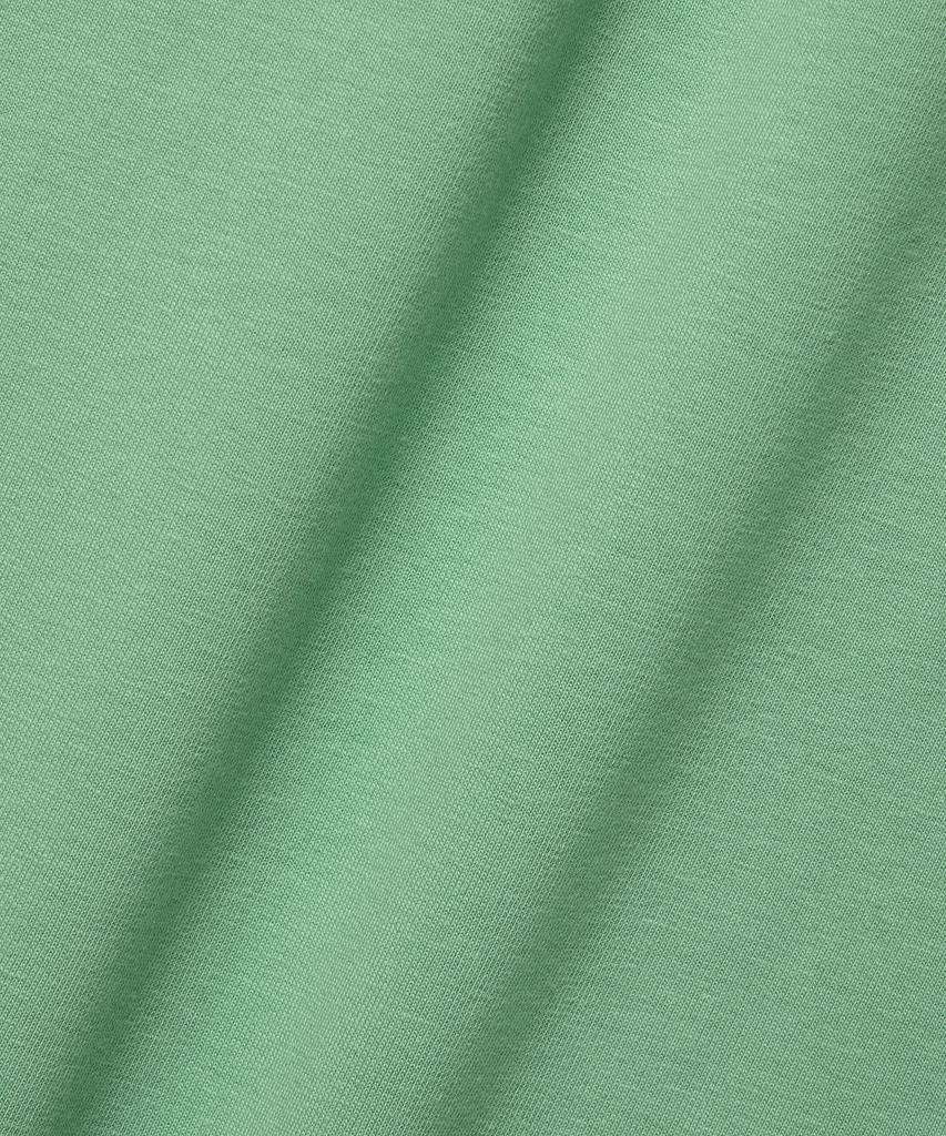 USPOLOASSN Cotton Sweatshirt_Light Green