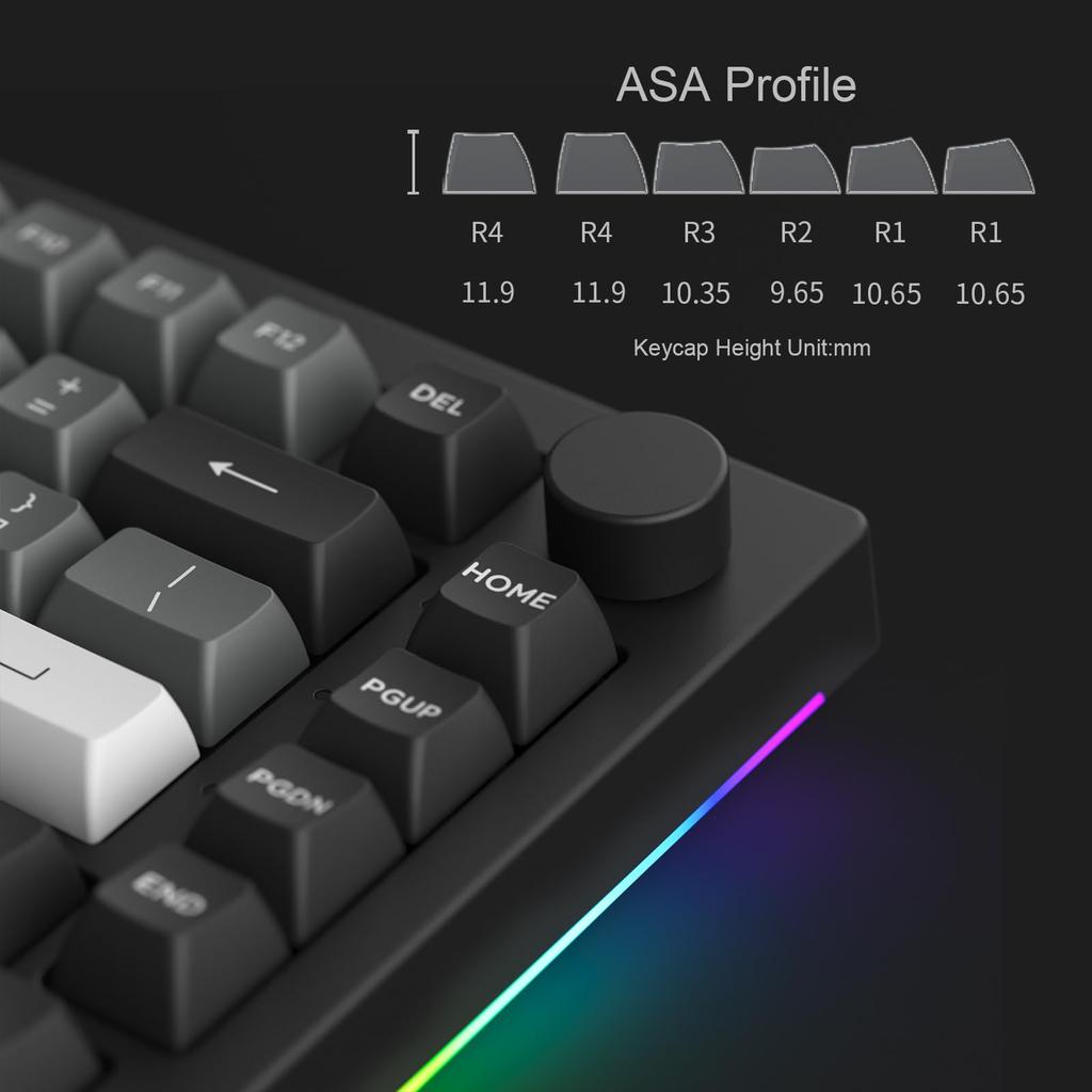 Akko 5075B Plus Black Silver English USB Bluetooth Wireless V3 Cream Blue Pro Magnetic Switch Tenkeyless Mechanical Keyboard with Gasket 3000mAh RGB