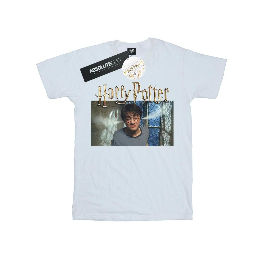 Harry Potter Mens Steam Ears T-Shirt