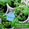 200pcs PVC Hanging Flower Plant Seed Name Tag Label Marker Sign Outdoor Blue