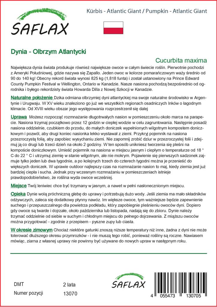 SAFLAX Тыква - Атлантический Гигант - 7 семян - Cucurbita maxima