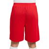 Nike Спортивные шорты Dri Fit мужские Университетский красный IB8654-657