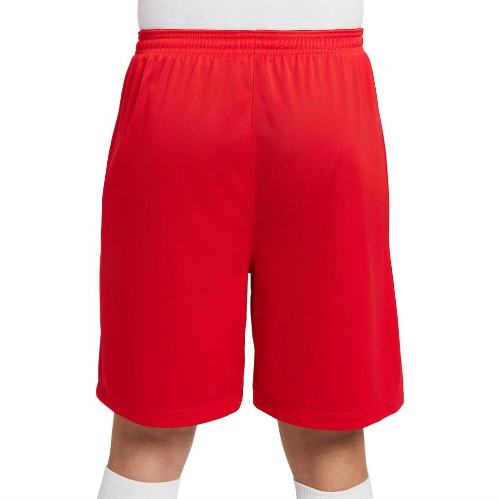 Nike Спортивные шорты Dri Fit мужские Университетский красный IB8654-657