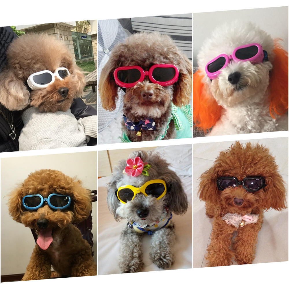 Новые очки для домашних животных, солнцезащитные очки для маленьких собак, противотуманные, ветрозащитные очки, защита для глаз, водонепроницаемые лыжи, солнце