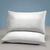 Tencel Lyocell Pillowcase Summer Silky Smooth Solid Color Silk Cool Pillow Towel Pillowcase