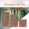 Natural Champagne Cork Bark Decoration Panel for Reptile Hiding & Aquascaping