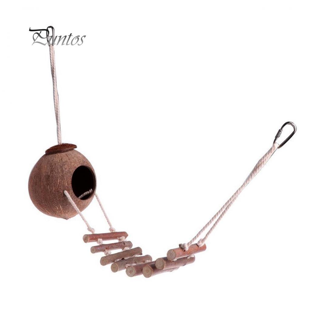 Natural Coconut Shell Parrot Nest Parakeet Birds Feeder Pets Toy with Ladder