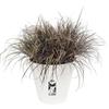ELHO Lot de 2 pots de fleurs rond Loft Urban - 19 L - Ø 28.5 x H 26 cm - Noir