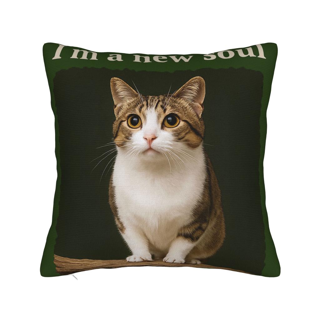 Pillow Cover Internet Famous Meowl Cat Owl Meme  Morden Pillow Case For Sofa Home Decoration Pillowcases