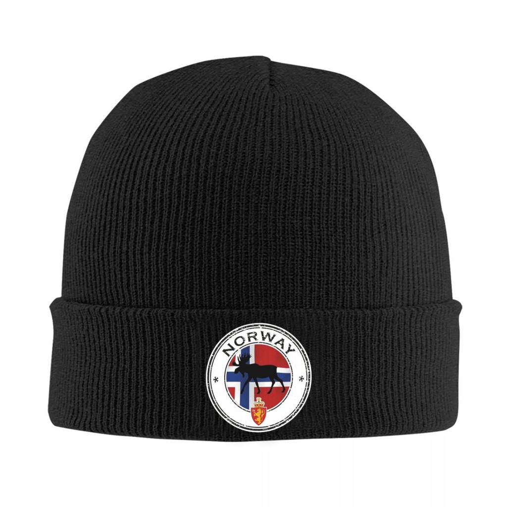 Norway Flag Warm Knitted Cap Fashion Bonnet Hat Autumn Winter Outdoor Beanies Hats for Unisex Adult