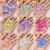 Hanmade Morning Glory Loose Beads Necklace 200PCS Jewelry Making Bracelets DIY Jewelry Accessories 9Colors 14.3*10mm Acrylic Earrings