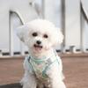 Breathable Pet Vest Style Harness Adjustable Pet Chest Strap Dog Harness Leash Set  Chihuahua