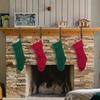 Yousheng Christmas Stocking Hook Heavy-duty Metal Hook Mantel Stocking Holder Adjustable Xmas Garland Hook for Home Mantel Party Decoration