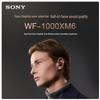 Sony Полностью беспроводные наушники с шумоподавлением WF-1000XM6