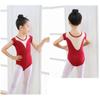 Kids' Gymnastic Outfits Classic Basic Leotard Toddler Girls Dance Practic Ballet Dance Outfits 4-10 Year