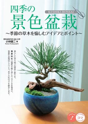 Бонсай в книге «Четыре идеи и советы для наслаждения сезонными растениями», которая учит вас временам года (Трюки!)