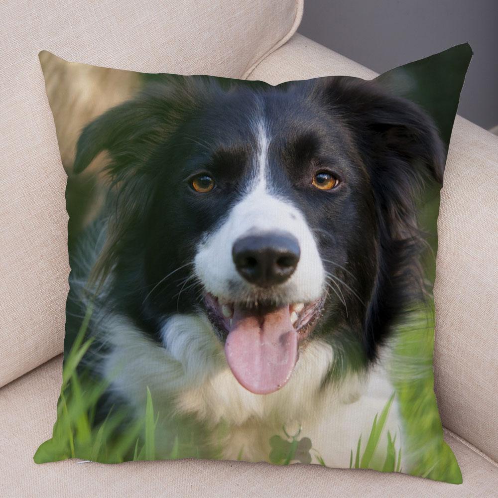 Милый питомец животное собака принт наволочка шотландский бордер колли подушка чехол диван украшение для автомобиля