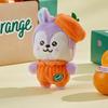 BT21 Baby Plush Doll Orange Party Ver.