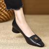Women Pumps New 2025 Fashion Pointed Shallow Low Heel Single Shoes for Women Simple Casual PU Leather Shoes Commuter Party Shoes
