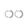 French Circle Earrings, Premium Fashion Celebrity Ear Buckles, Prom Celebrity Premium Atmosphere Earrings