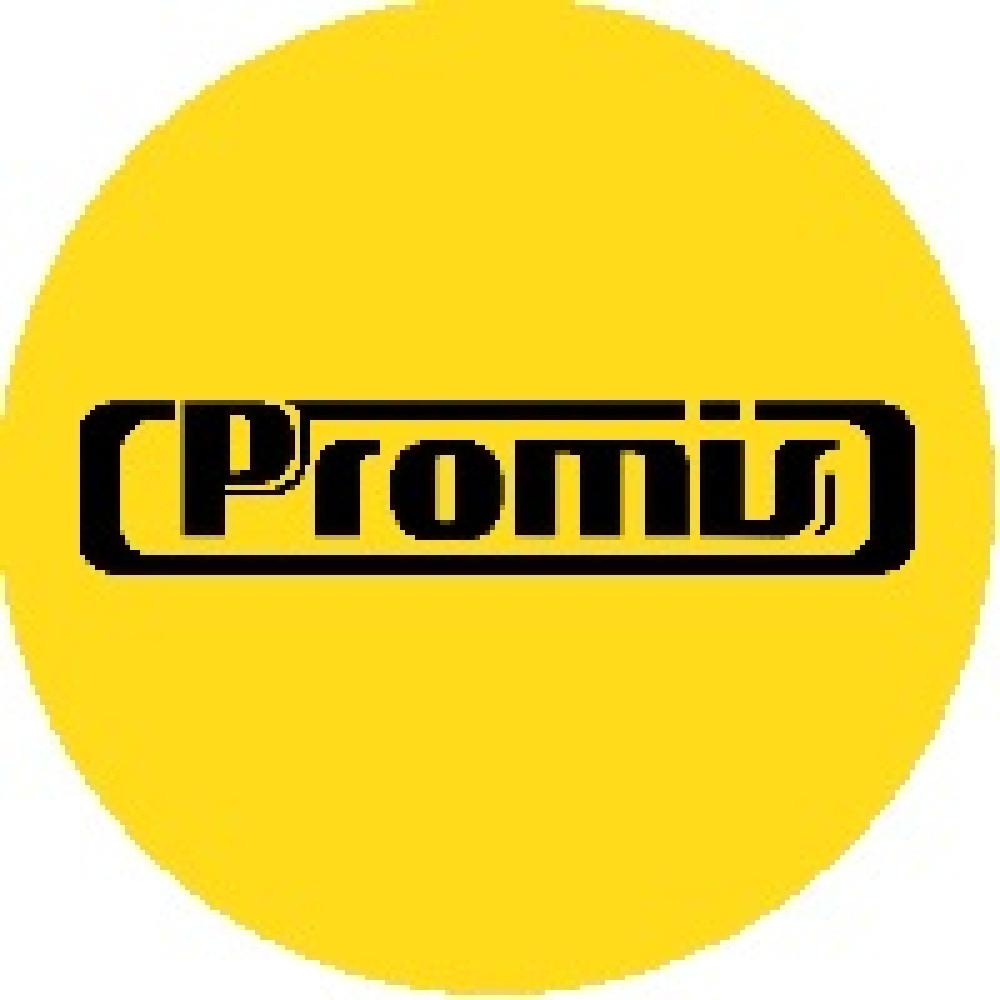 Promis gas stove kg400s