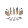 Pack De 5 Cadenas Laiton, Arche Normal, 5 Clés Identiques - 40 X 23 Mms - Edm