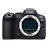 Canon Беззеркальная полнокадровая камера EOS R6 Mark II (Китайская версия)