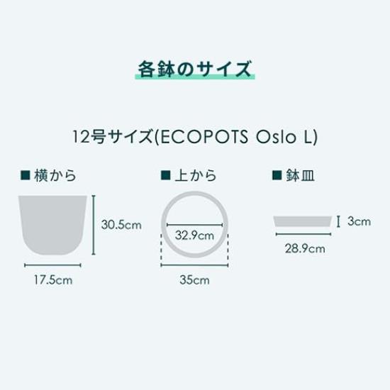 ECOPOTS Oslo Ecopots И РАСТЕНИЯ Белый Горшок L (4. Серый, (нет. 12))