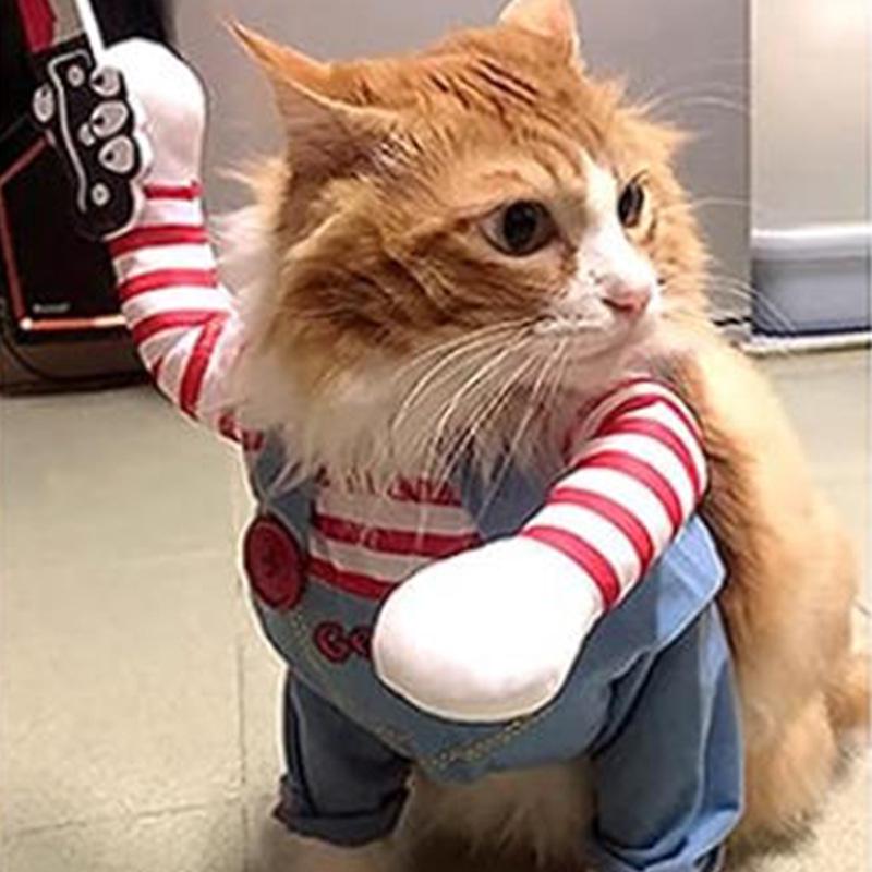 Кукла-убийца кошек Костюм на Хэллоуин - Забавный косплей для питомцев