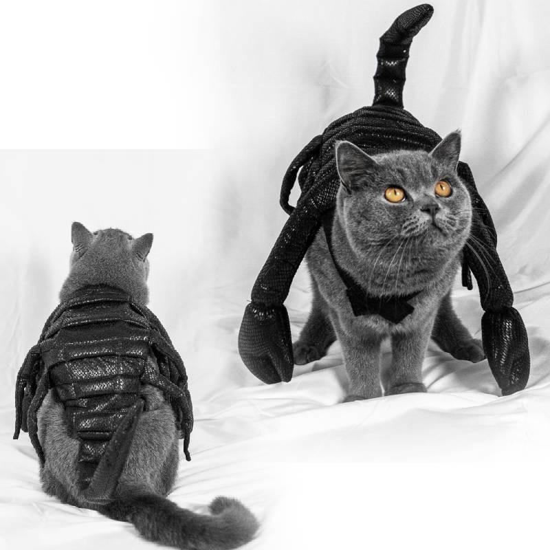 Unique Halloween Pet Costume Funny Scorpion King Outfit For Cats And Dogs Black Cloth