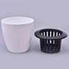 Automatic Water-Absorbing Succulent Flower Pot Hydroponic Basin Fleshy Flowerpot