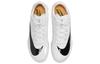 Nike Тройной прыжок Elite 2 'Белый Гипер Розовый Оранжевый' AO0808-101