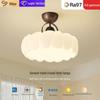 Vintage Cream Full Spectrum Ceiling Lamp for Bedroom and Study - French Retro Style, Eye Protection, 2025 Edition