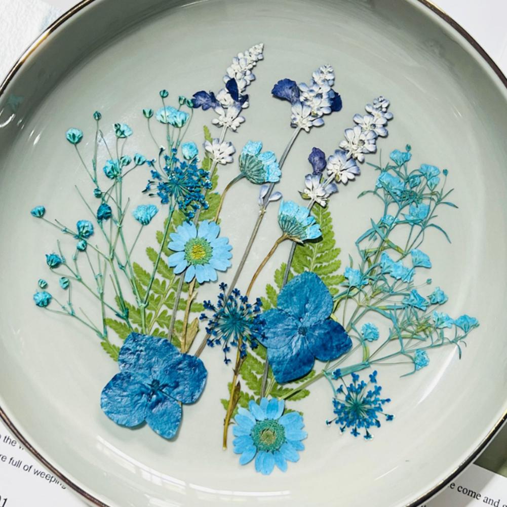 Dried Pressed Flowers For Resin Crafts, Flower Natural Dried Fillers, Assorted Real Natural Bulk Dry Floral Leaves For Scrapbook