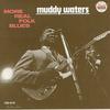 CD MUDDY WATERS - More Real Folk Blues CHD9278 MCA Records 1988 US Блюз Б/У