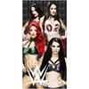 WWE Пляжное полотенце Divas