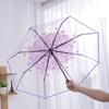 Funny Folding Umbrella Windproof Manual Umbrella Korean Cherry Blossom Transparent Umbrella  Home