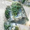 1pcs/1lot Decorative Adhesive Tapes a wall of green fields and flowers Decorative Scrapbooking DIY Paper Japanese Stickers