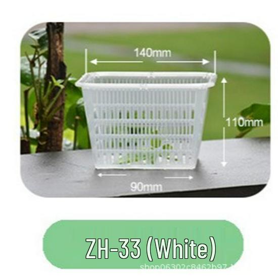 Breathable Plastic Orchid Pot for Phalaenopsis and Cymbidium Bonsai