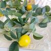 1.95m Spring Greenery Garland with Lemons Artificial Lemon Garland Green Eucalyptus Leaves Lemon Wreath for Front Door Party Table Wedding Decor