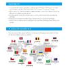 1080P Automotive Boroscope Endoscopic Car Drain Piping Channel Inspection Endoscope Camera Industrial Accessories For Cars 8mm