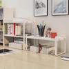 Ayoubu Double-Layer Desktop Organizer Shelf