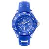 Ice Watch Watch Ladies Kids Unisex / 001456 ICE Aqua Ice Aqua Amparo Small