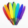 10-15Cm/4-6Inch Colorful Duck Feathers Handicraft Accessories Small Goose Plumes Jewelry Creation Diy Gift Decorations